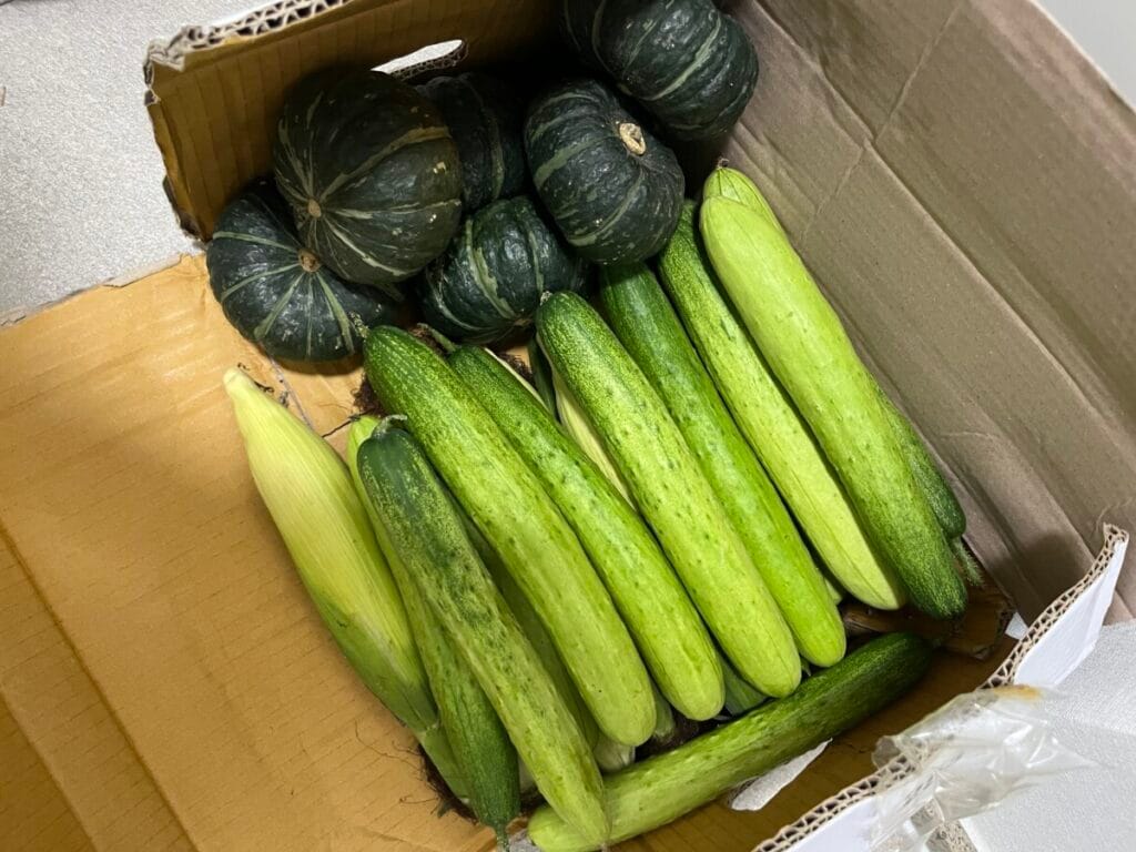 채소(단호박, 오이, 옥수수)가 들어있는 박스