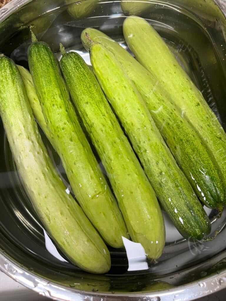 화이트식초 섞은 물에 오이 세척하기